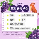 일본인도, 구글 이미지 검색도 몽땅 속여낸 가짜 한자.jpg