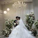 라온캣독 호텔 대구점 | 대구웨딩플래너, 라온웨딩(구.강북컨벤션) 예식후기