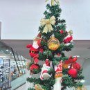 에이치엠피 | 다이소 크리스마스 미니트리 만들기 총비용 4천원