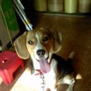 백합세탁소 이미지