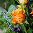 행복한하루 이미지