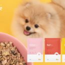 라이크펫 이미지