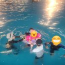 고양워터파크 | 고양워터파크 후기, 올 여름 마지막 수영장. 주간부터 야간까지