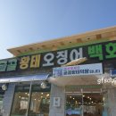 굴골 황태덕장 네이버블로그