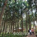 (주)일원물산 이미지