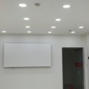 애견멀티샵 이미지