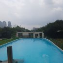 개떼월드 이미지