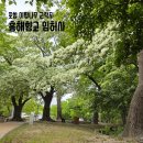 영일민속박물관 | 포항 5월 여행 가볼만한 곳 이팝나무군락지 흥해향교 임허사