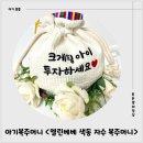 복주머니 | 아기용돈주머니 &lt;엘린베베 색동 자수 복주머니&gt; 착용 후기