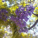 다보메디칼 이미지