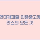 리스 이미지