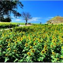 연천호로고루 이미지