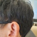 임방울대로825번길 이미지