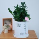 덕소로97번길29-1 이미지