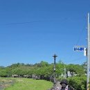 엄살파와 참을파의 아침산책과 과실수와 고추밭에 소독,26.5.5.08:30 peter.kim 이미지