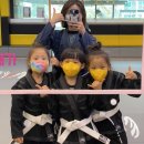 용인대 특전 합기도 이미지