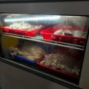 우두머리 내나라국밥 | 24시간 수원역 순댓국 맛집, 노포 감성 현지인 수원 국밥 맛집 솔직후기 [아다미식당]