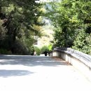 구봉산 가는길 이미지