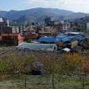 강변운동장제방 이미지