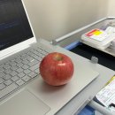 3/27-4/2 회식은 처음이라..신규생활적응기, 주말마다 소확행, 쿠에른발레리나슈즈, 독립일보직전!!!