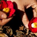 바람의 집 이미지