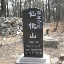 경주 선도산 이미지