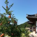 파란물가하얀집 이미지