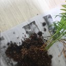 구일정육 이미지