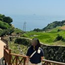 원예조합2호 | 힐링 그 자체 남해여행🍃✨