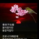 더예쁜하루