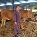 서성목장 이미지