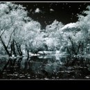 물결치는 달빛 ( 이미지