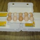 금순농장 이미지