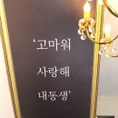 메르시독 네이버블로그