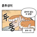 뚜레쥬르청전점