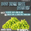 에브리데이365 이미지