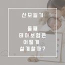 [산모일기] 둘째 태아보험 가입후기ㅣ설계사 Q&A