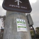 청대골