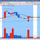 주식회사비씨월드제약 이미지