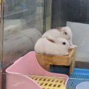 올리브영연신내 이미지