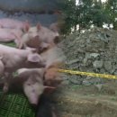 상당농장 이미지