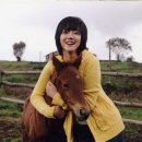 시은목장 이미지