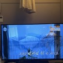 단뷰