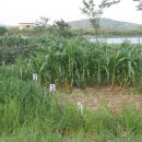 풍전농장 이미지