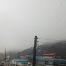 대우세탁박사 이미지