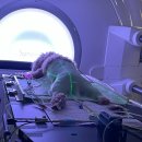 서울동물영상종양센터 | [인터뷰] 최지혜 서울대 수의대 교수 &#34;한-미 반려동물 종양 방사선치료의 차이는요&#34;