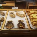 즐거운다락방 이미지