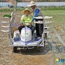 본성2리 이미지