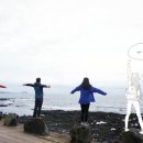 월정체육관 이미지