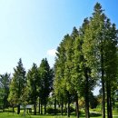 장자호수공원 이미지